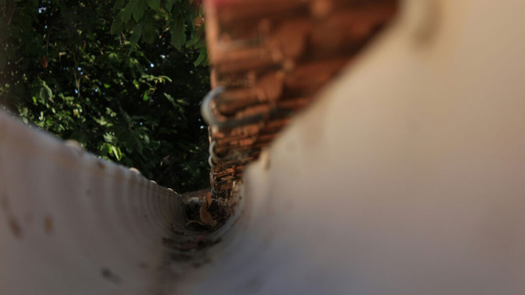 Close-up of a gutter with a blurred tree in the background